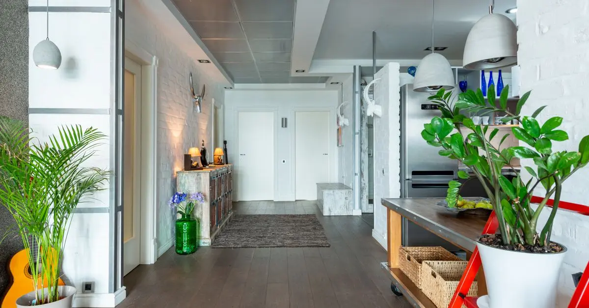 Cómo elegir la mejor decoración económica para tu hogar