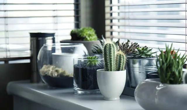 5 ideas creativas para decorar tu hogar de forma económica