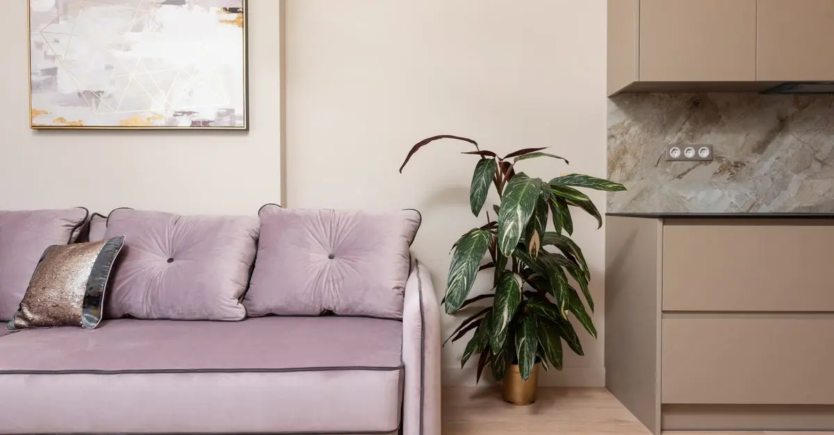 10 consejos para elegir decoraciones económicas que realcen tu estilo