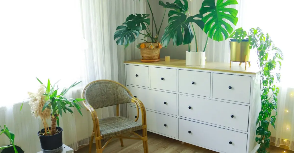 Cómo decorar tu hogar de forma económica y estilosa