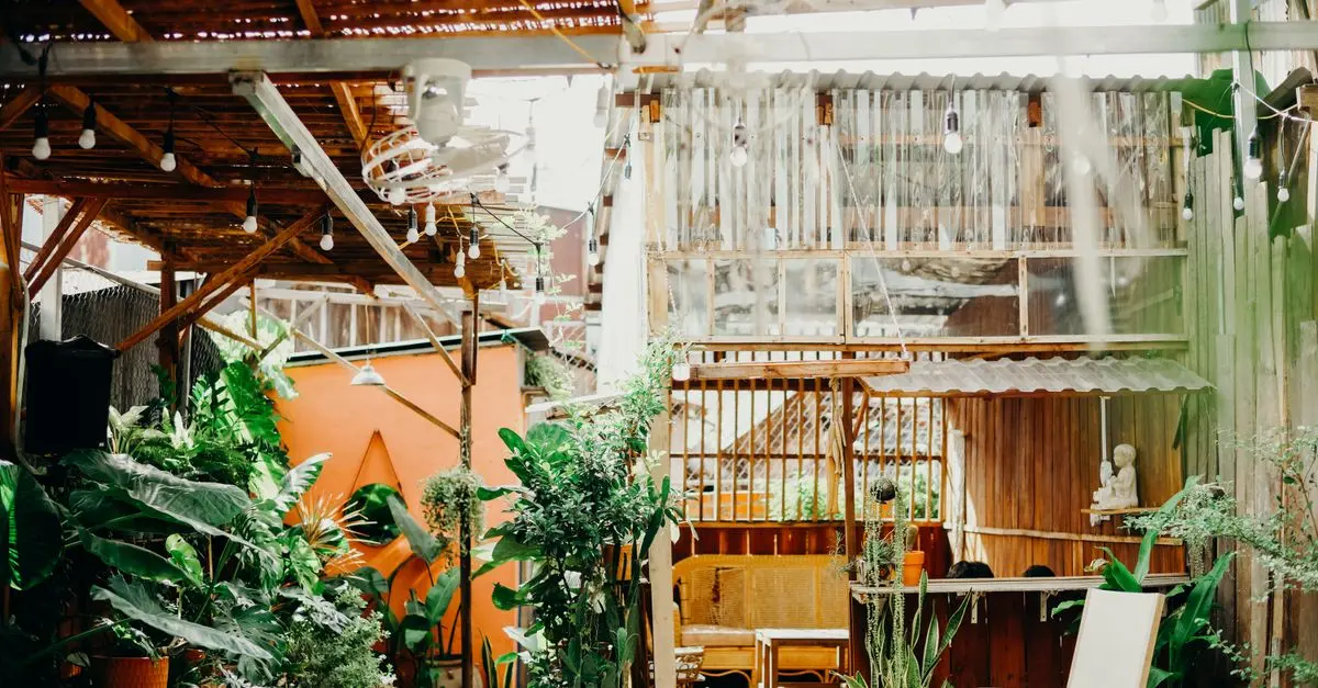 10 Consejos para Crear un Jardín Económico y Estiloso