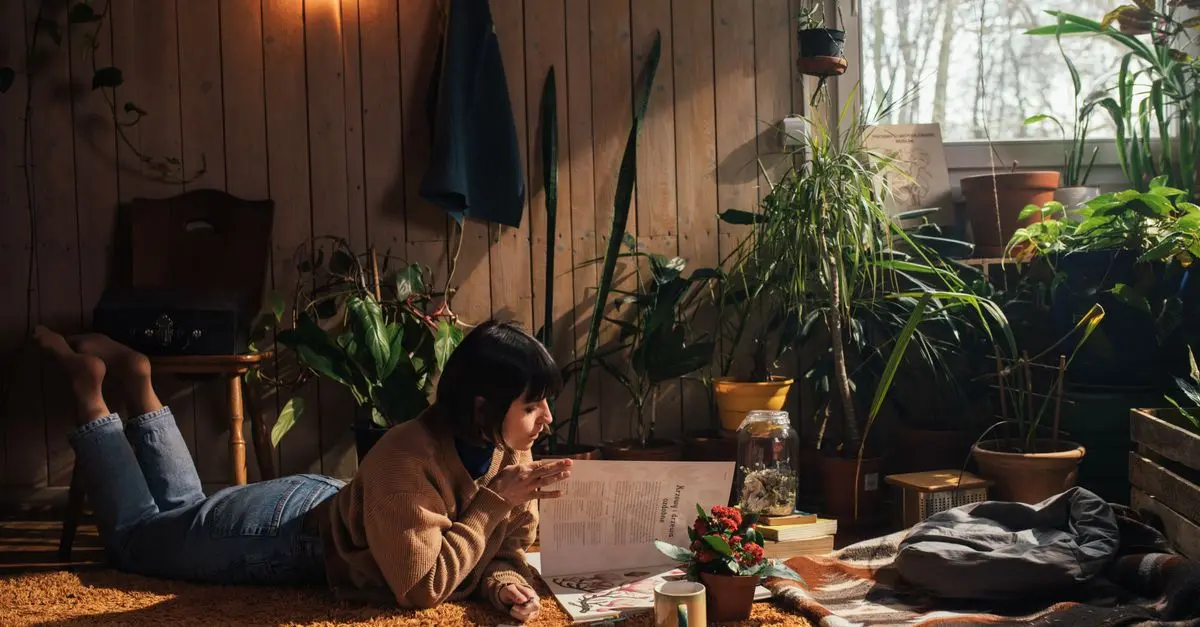 Cómo elegir la mejor decoración económica para tu hogar