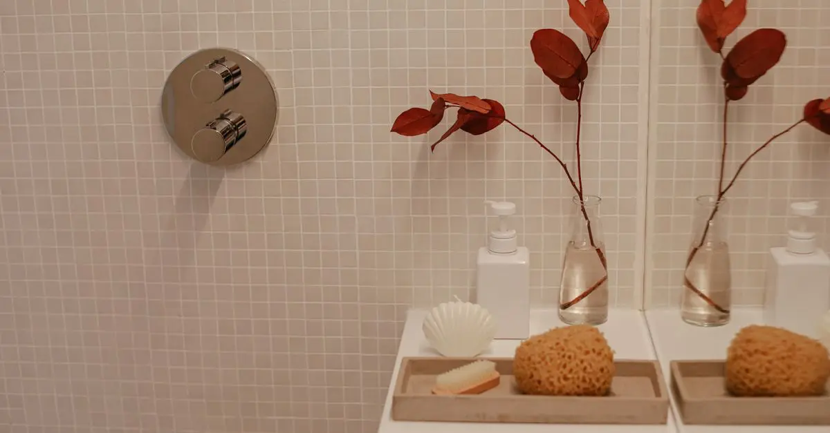 Cómo decorar tu baño con bajo presupuesto y buen gusto