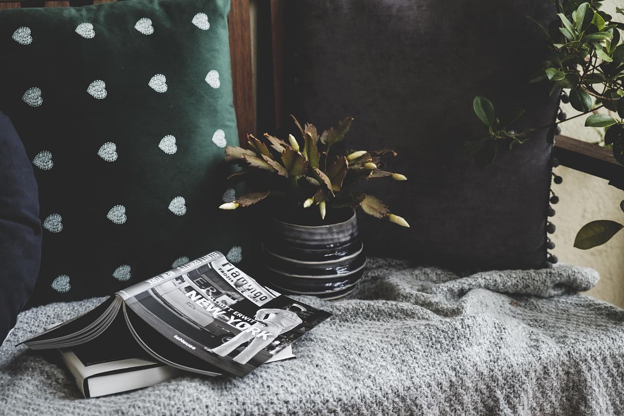 Cómo elegir las mejores decoraciones económicas para tu hogar